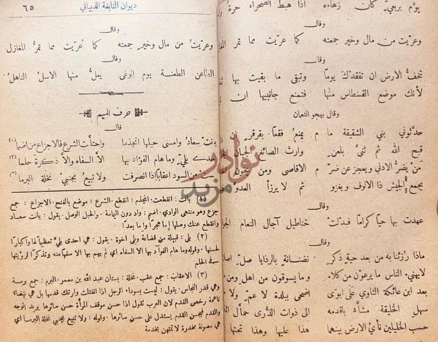 صفحة داخلية كتاب ديوان النابغة الذبيانى حرف الميم