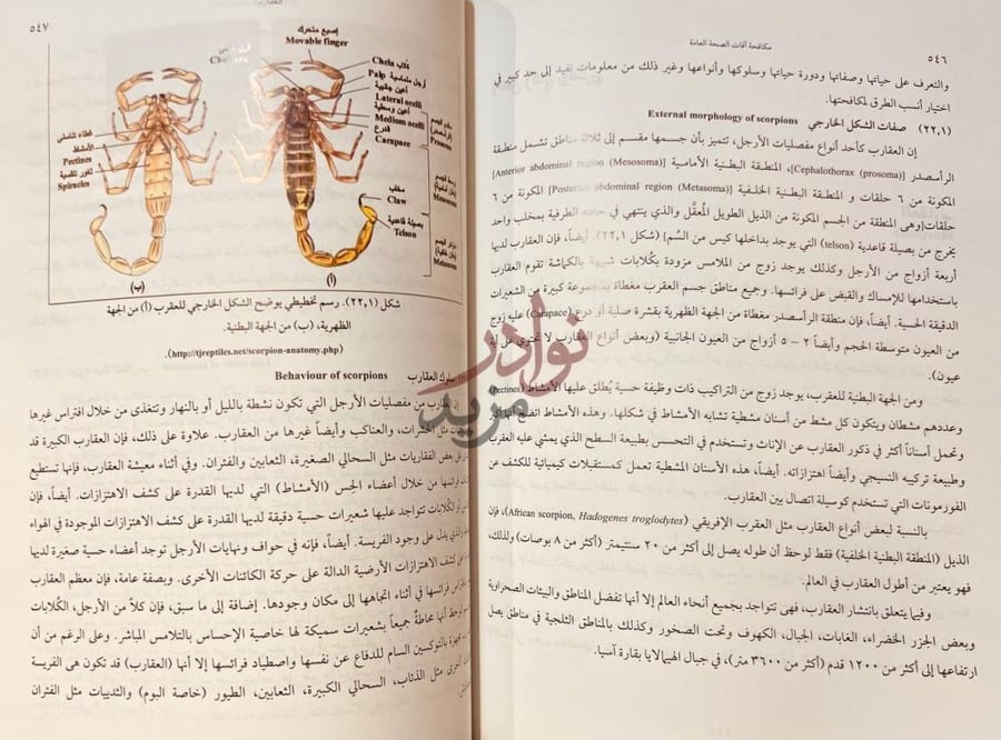 صفحة داخلية كتاب مكافحة افات الصحة العامة
