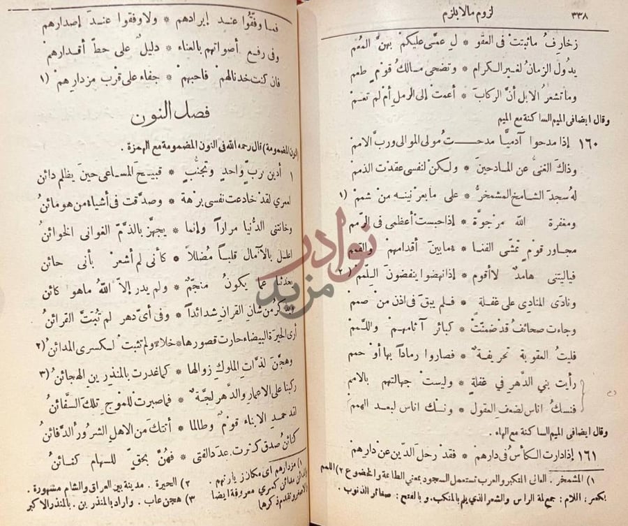 صفحة داخلية كتاب لزوم مالايلزم فصل النون