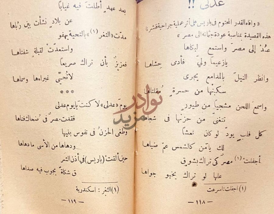 صفحة داخلية كتاب زورق الشجون عدلى