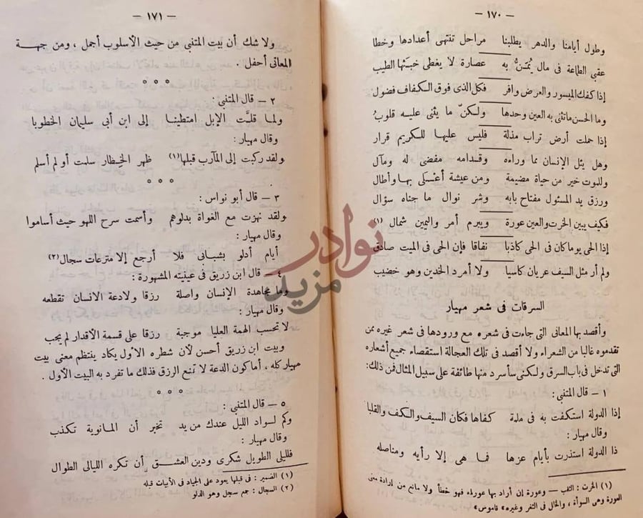 صفحة داخلية كتاب مهيار الديلمي وشعره السرقات في شعر ميار