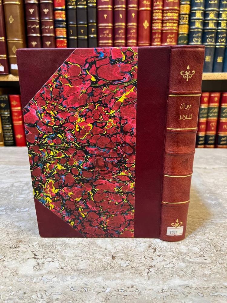غلاف كتاب ديوان الملاط غلاف الكتاب
