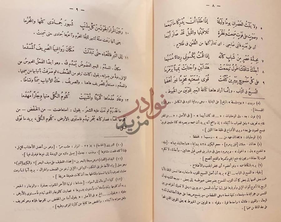 صفحة داخلية كتاب ديوان حميد بن ثور الهلالي وفيه بائية ابي