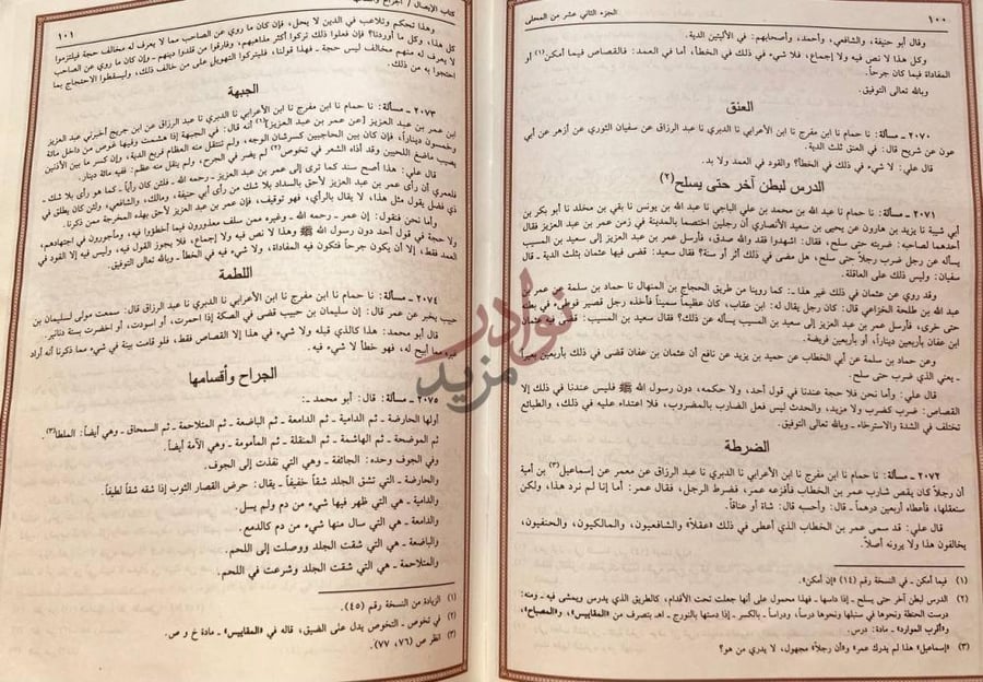 صفحة داخلية كتاب المحلى شرح المجلى كتاب الجنايات