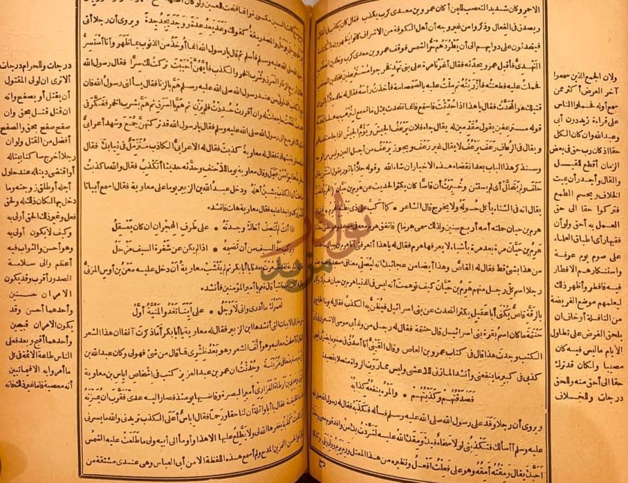 صفحة داخلية كتاب الكامل في اللغة والادب صفحات متتالية من نص