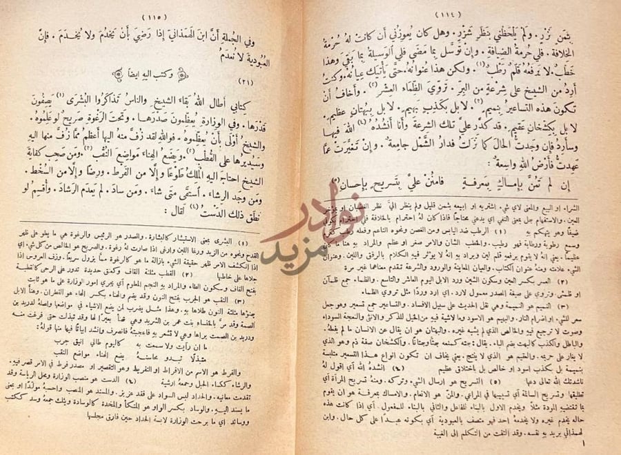 صفحة داخلية كتاب كشف المعاني والبيان عن رسائل بديع الزمان