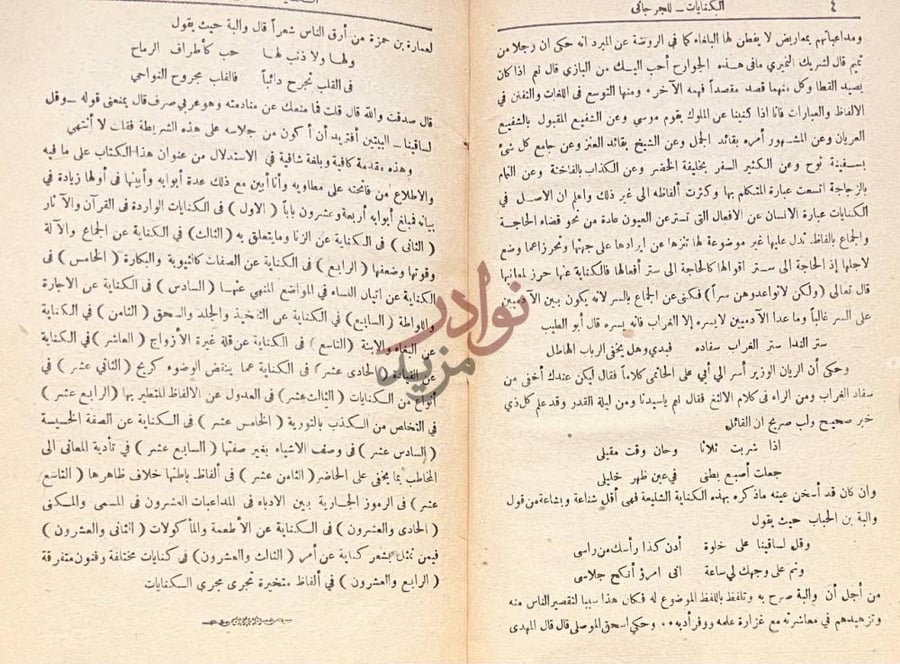 صفحة داخلية كتاب المنتخب من كنايات الادباء