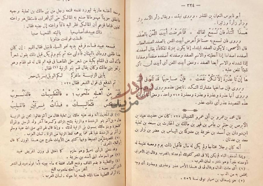 صفحة داخلية كتاب شرح القصائد العشر