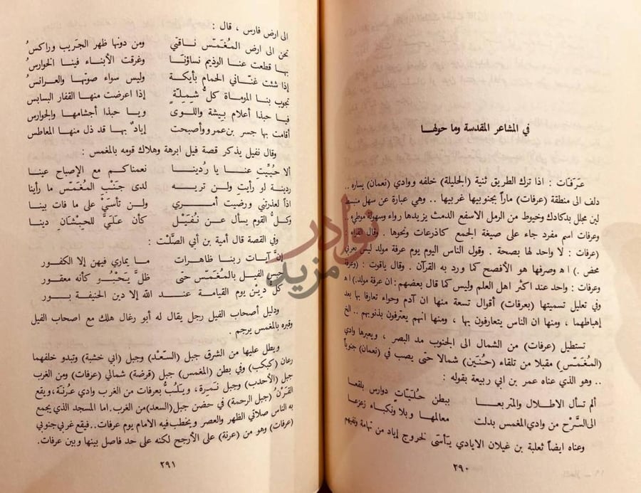 صفحة داخلية كتاب المجاز بين اليمامة والحجاز