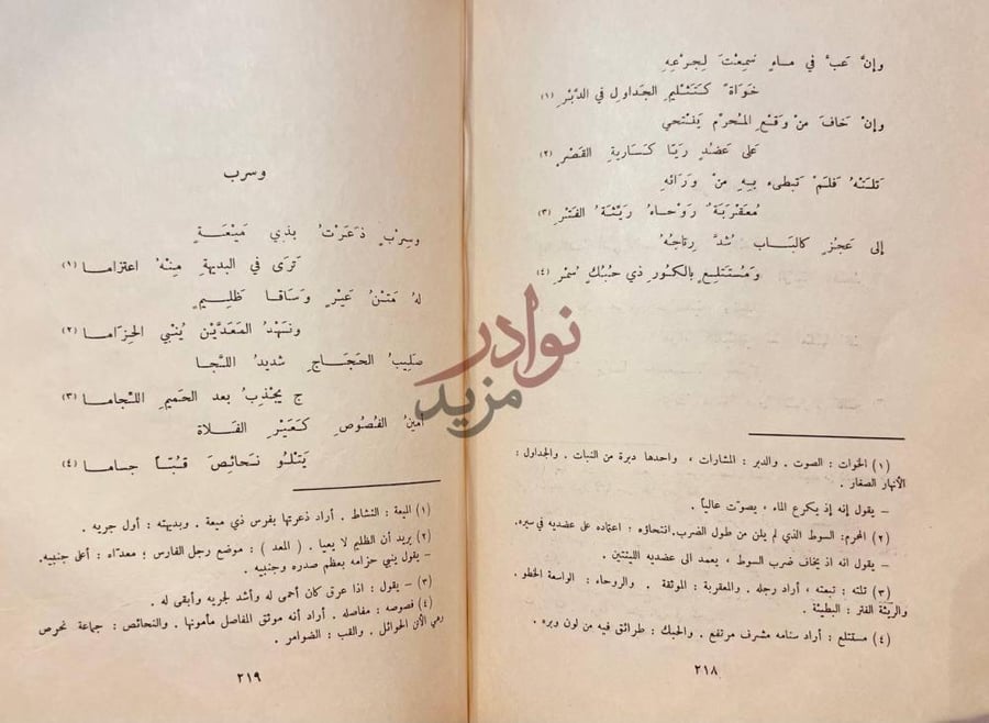 صفحة داخلية كتاب الحطيئة في سيرته ونفسيته وشعره وسرب