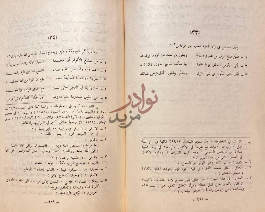 صفحة داخلية كتاب ديوان العباس بن مرداس السلمى