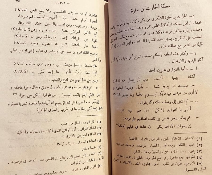 الشعراء الجاهليون/محمد خفاجي
