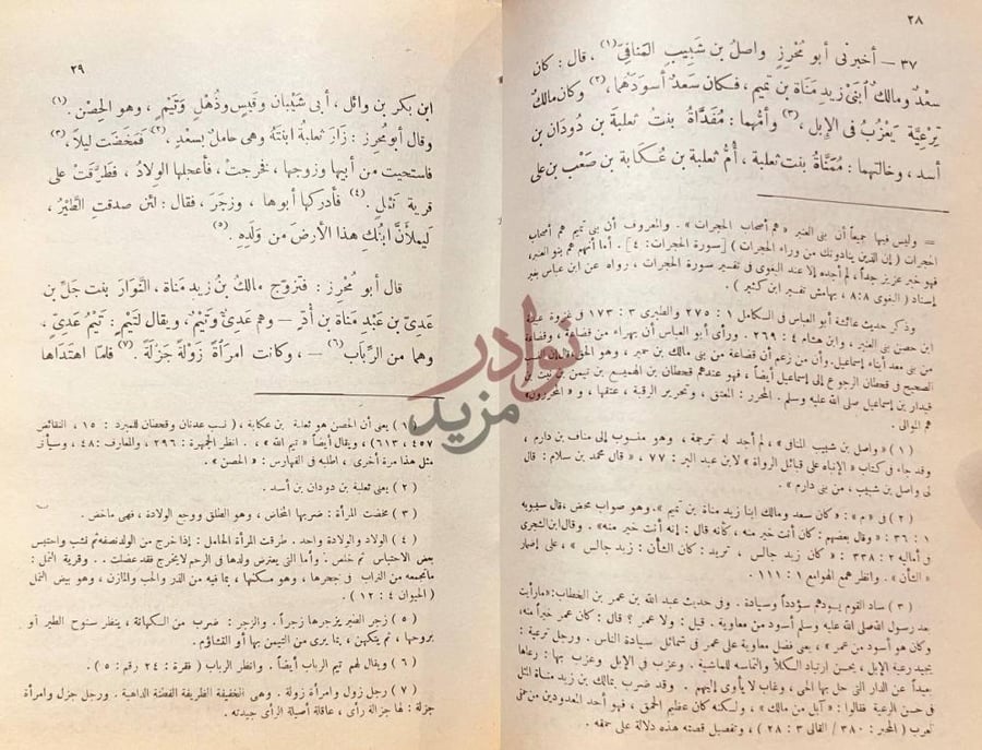 صفحة داخلية كتاب طبقات فحول الشعراء