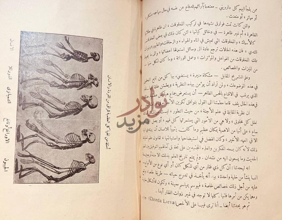 صفحة داخلية كتاب فصل المقال في فلسفة النشوء والارتقاء