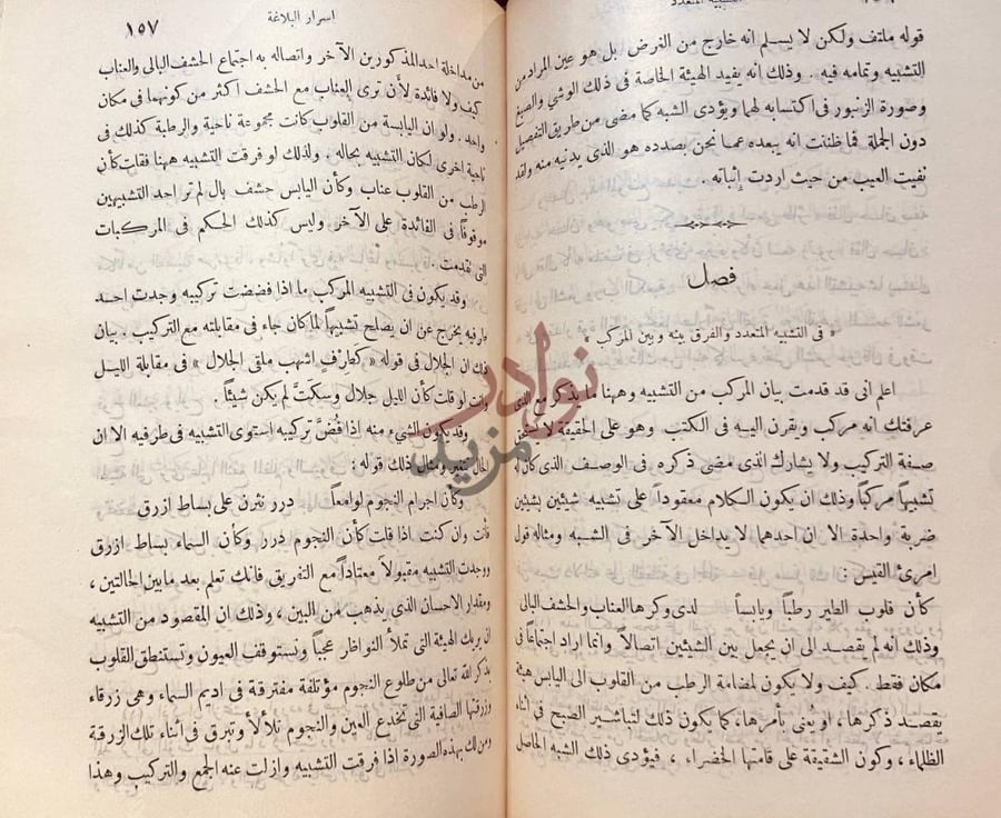 صفحة داخلية كتاب اسرار البلاغة في علم البيان فصل في التشبيه