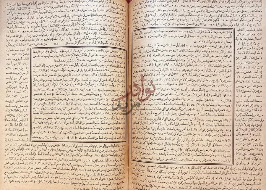 صفحة داخلية كتاب الاقناع في حل الفاظ ابى شجاع