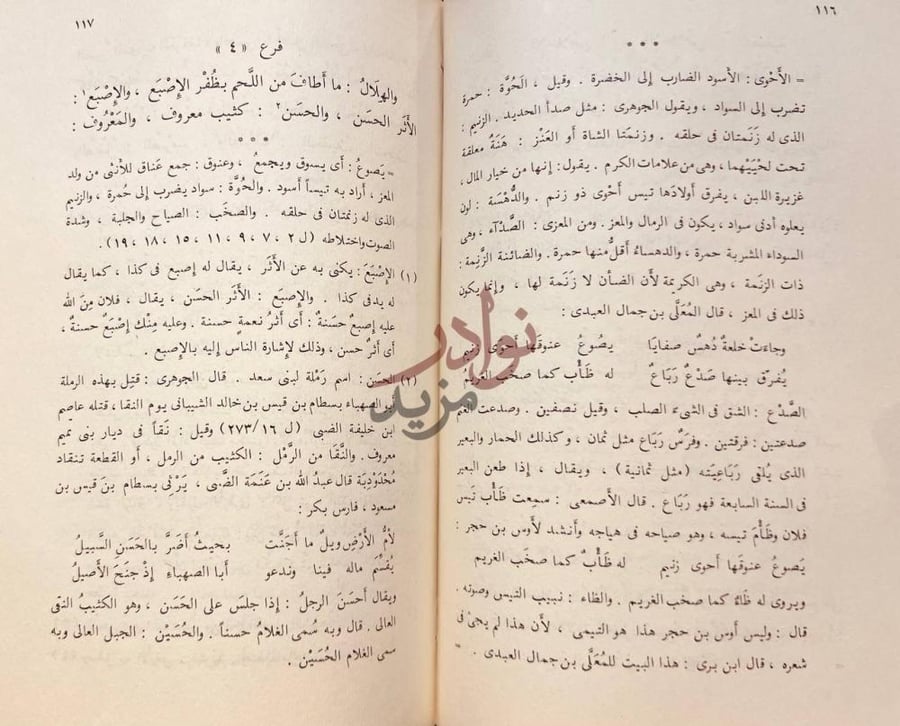 صفحة داخلية كتاب شجرة الدر في تداخل الكلام بالمعانى المختلفة