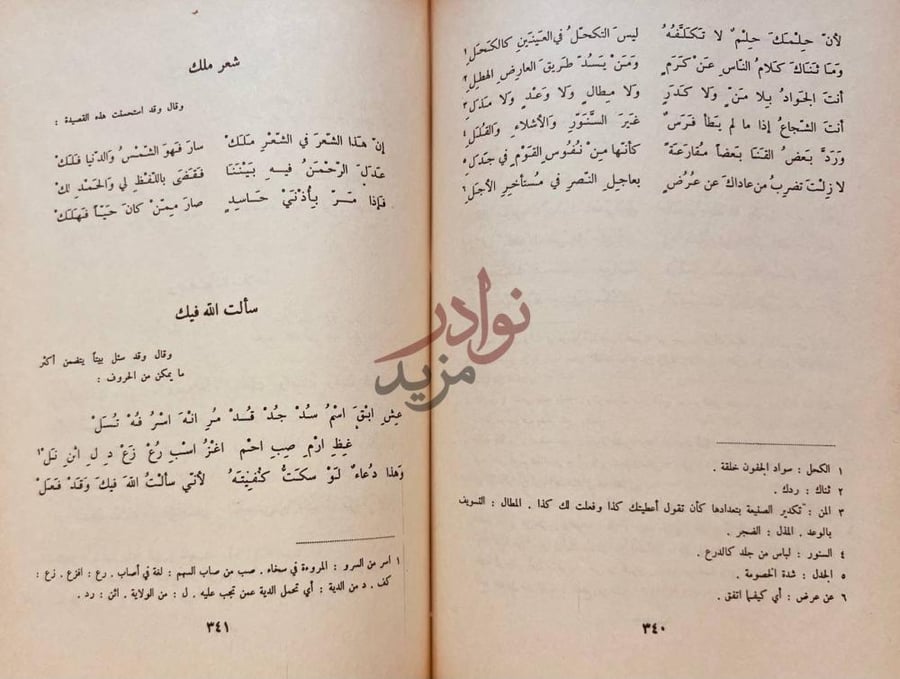 صفحة داخلية كتاب ديوان المتنبي سألت الله فيك