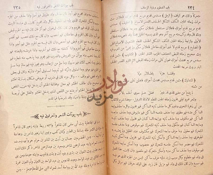 صفحة داخلية كتاب العمدة في صناعة الشعر ونقده
