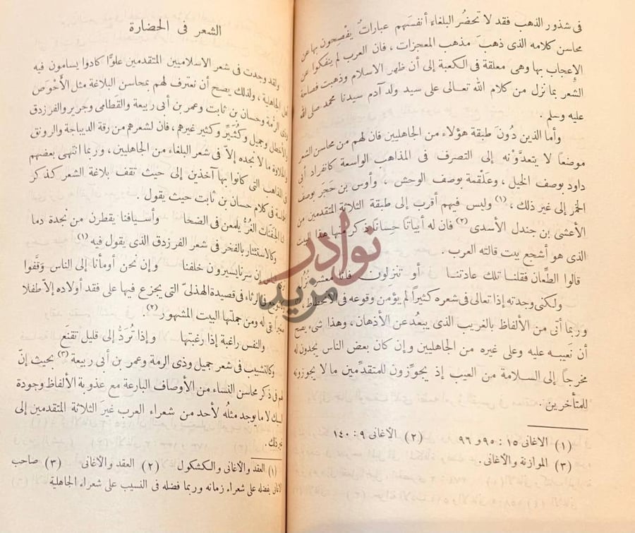 صفحة داخلية كتاب حضارة الاسلام في دار السلام في شذور الذهب