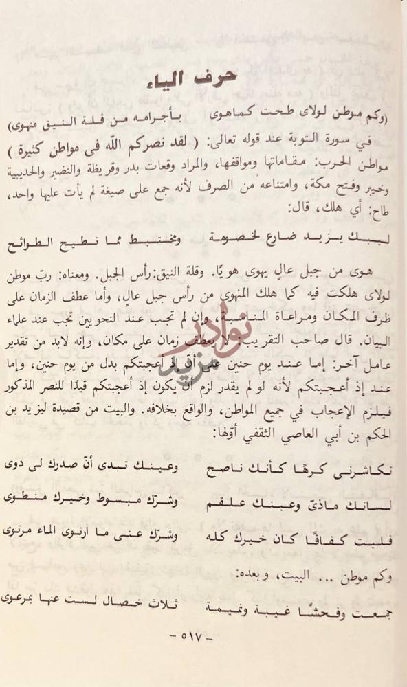 صفحة داخلية كتاب تنزيل الايات على الشواهد من الابيات