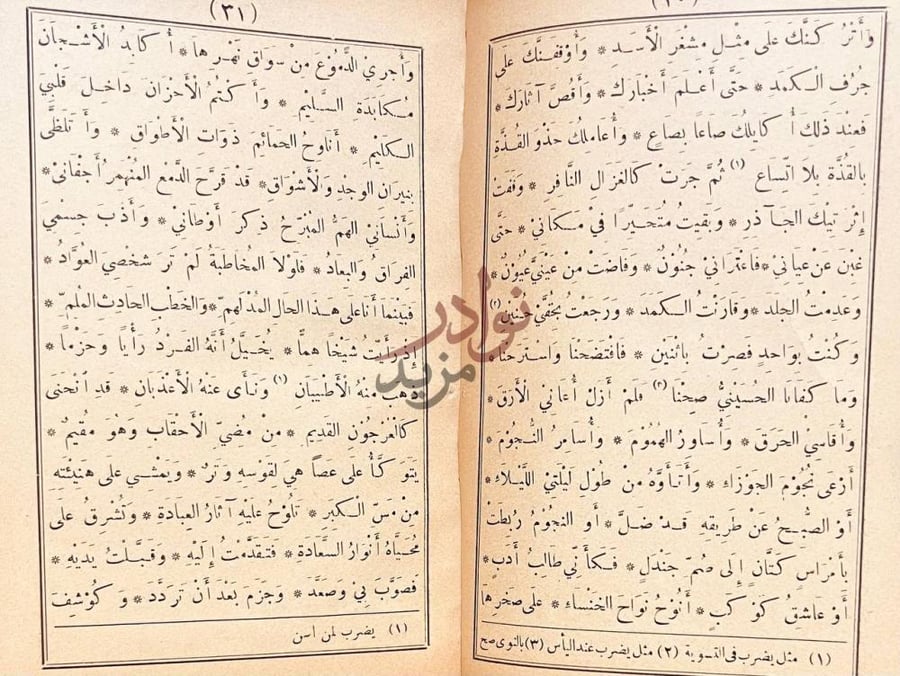 صفحة داخلية كتاب مقامة الامثال السائرة المتضمنة للأحوال