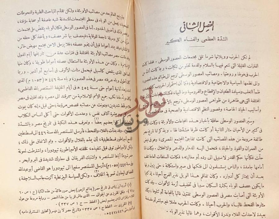 فصل كتاب مصر الاسلامية وتاريخ الخطط المصرية