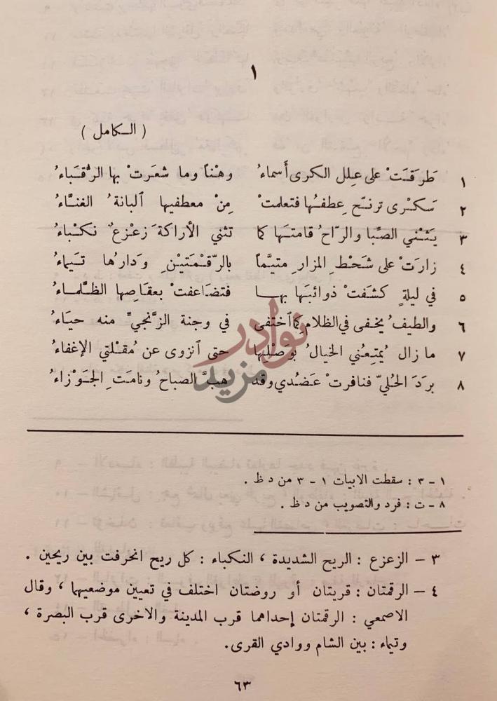 صفحة داخلية كتاب ديوان ابن الزقاق البلنسي الكامل