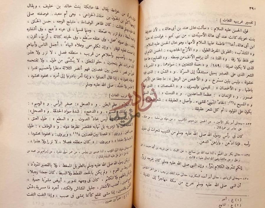 صفحة داخلية كتاب انساب الاشراف تفسير غريب اللغات