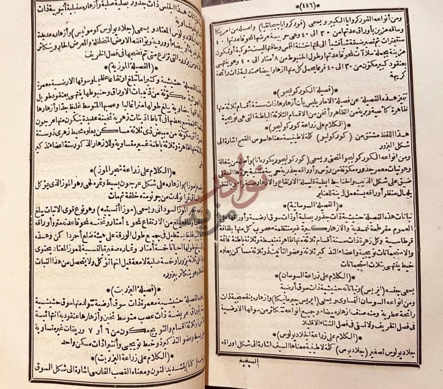 صفحة داخلية كتاب حسن الصناعة في علم الزراعة فصل زراعة الموز