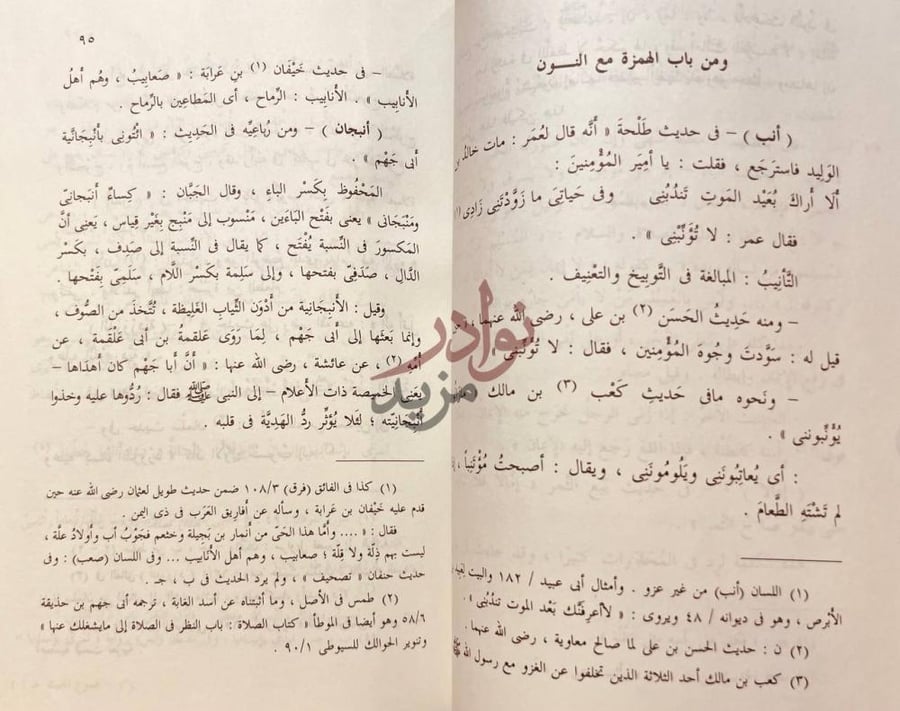 صفحة داخلية كتاب المجموع المغيث في غريبي القران والحديث