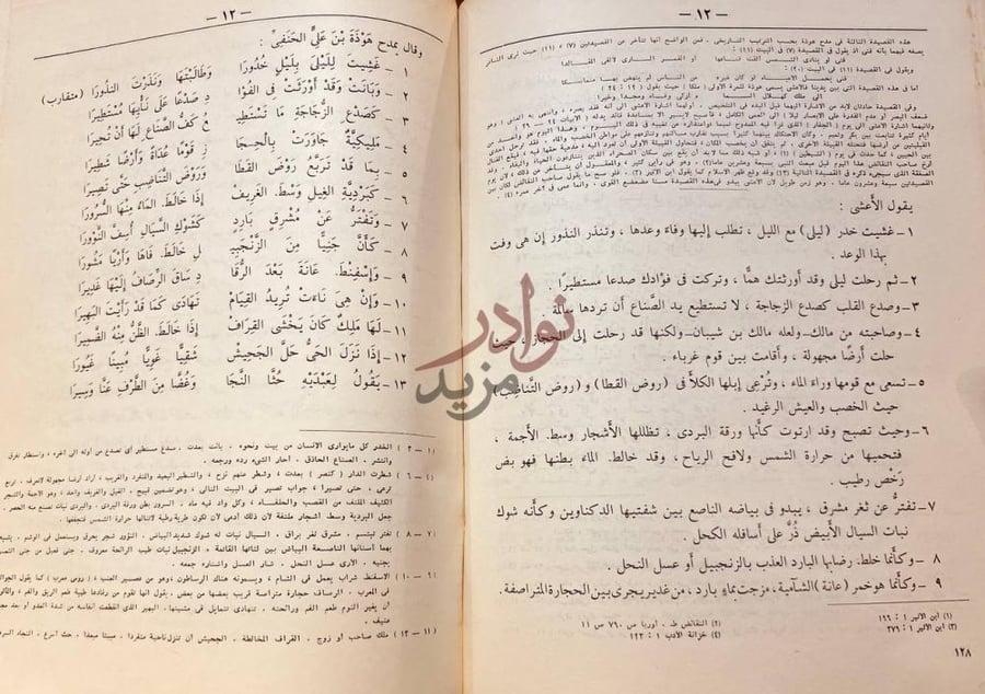 صفحة داخلية كتاب ديوان الاعشى الكبير ميمون بن قيس