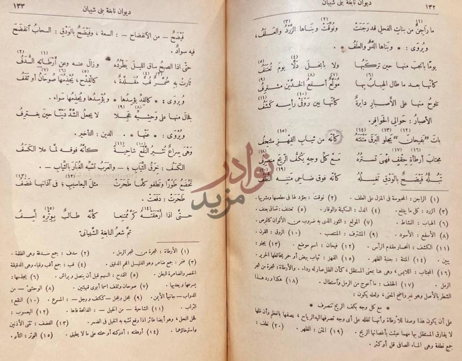 صفحة داخلية كتاب ديوان نابغة بني شيباني ديوان نابغة بن