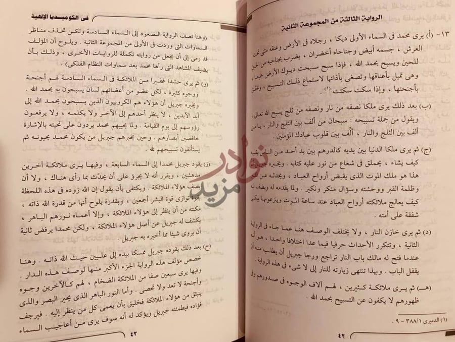 صفحة داخلية كتاب اثر الاسلام في الكوميديا الالهية