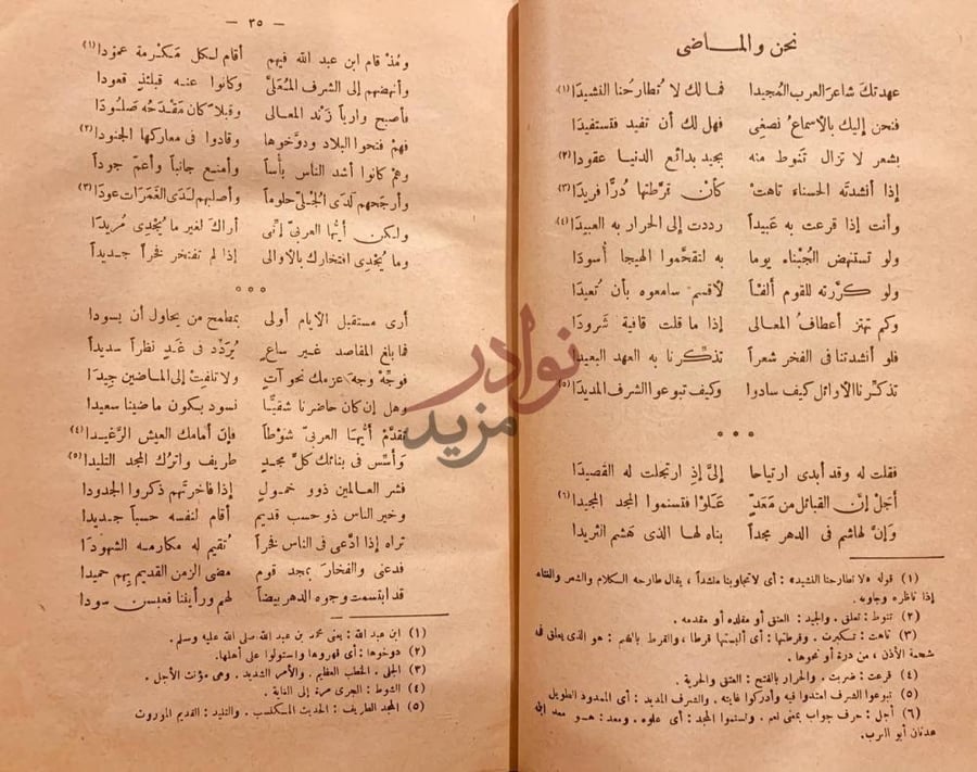 صفحة داخلية كتاب ديوان الرصافي نحن والماضي