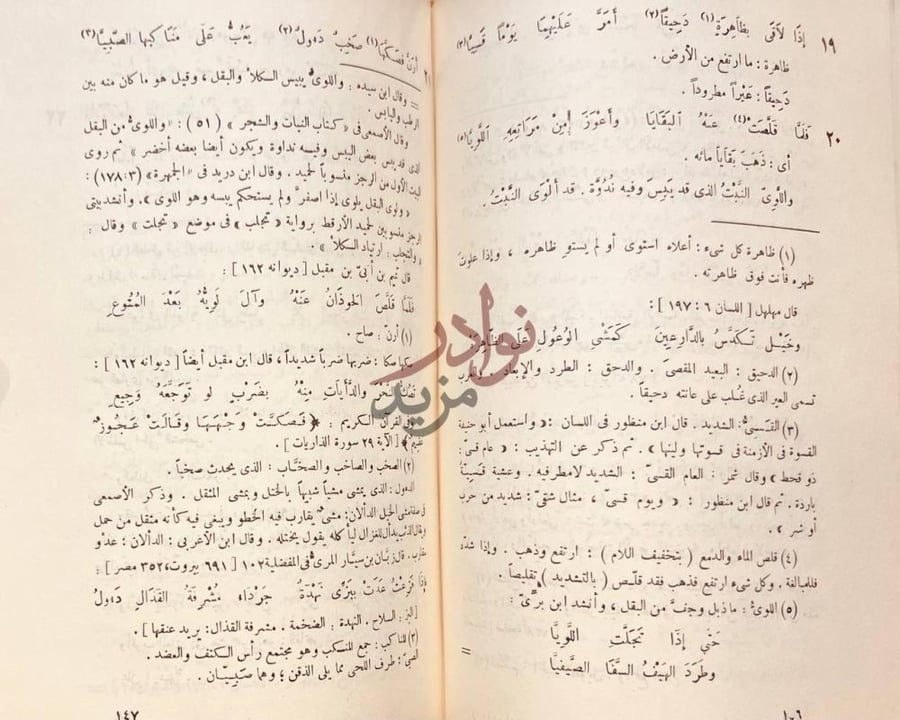 صفحة داخلية كتاب ديوان عمرو بن قميئة