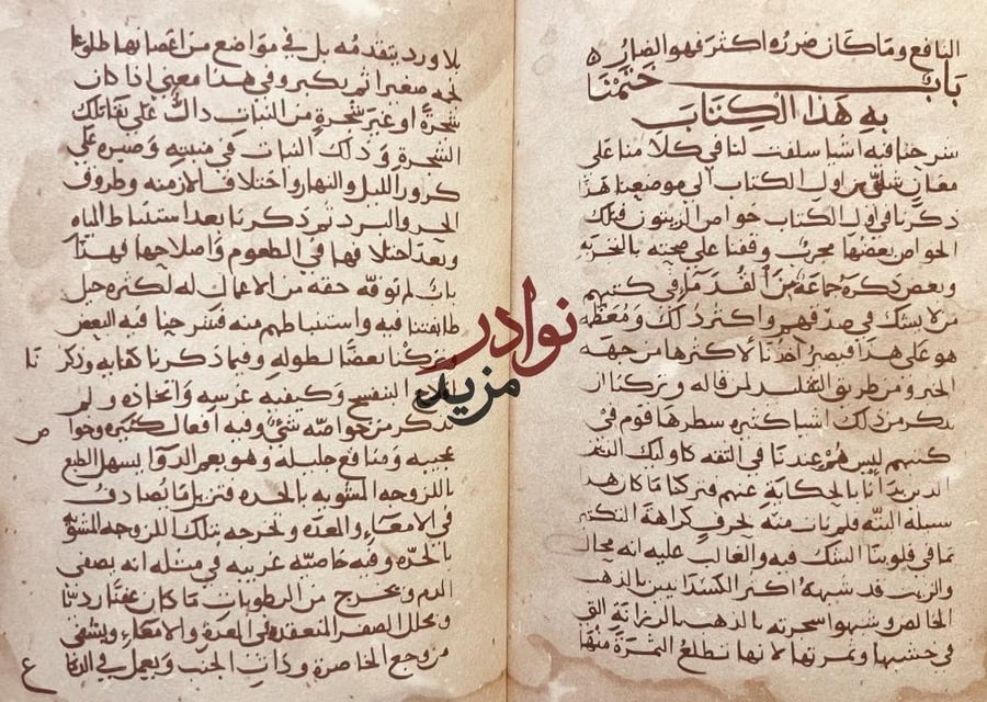 الفلاحة النبطية الجزء السابع/ابن وحشية صورة مخطوط