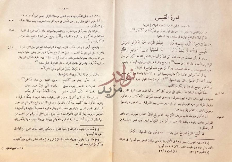 صفحة داخلية كتاب صحيح الاخبار عما في بلاد العرب من الاثار