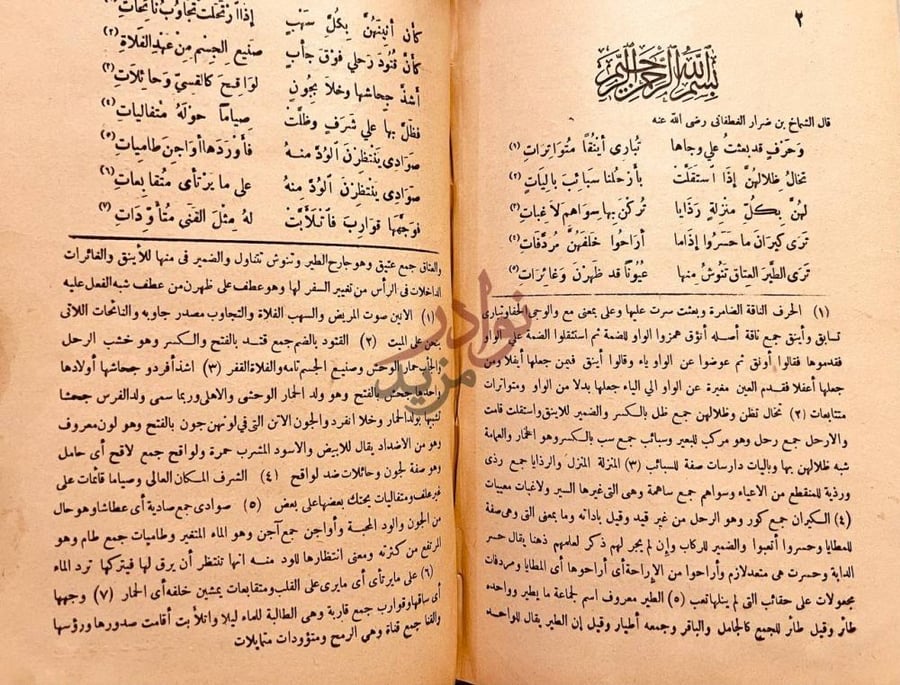 صفحة داخلية كتاب ديوان شعر الامام ابي بكر بن دريد الازدي