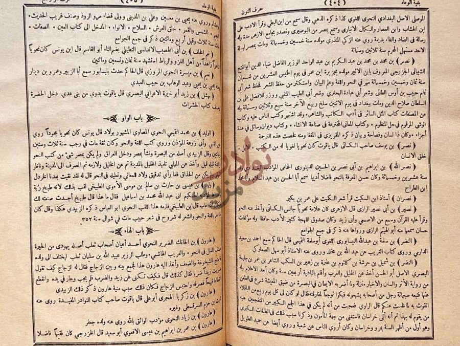 صفحة داخلية كتاب بغية الوعاه في طبقات اللغويين والنحاه