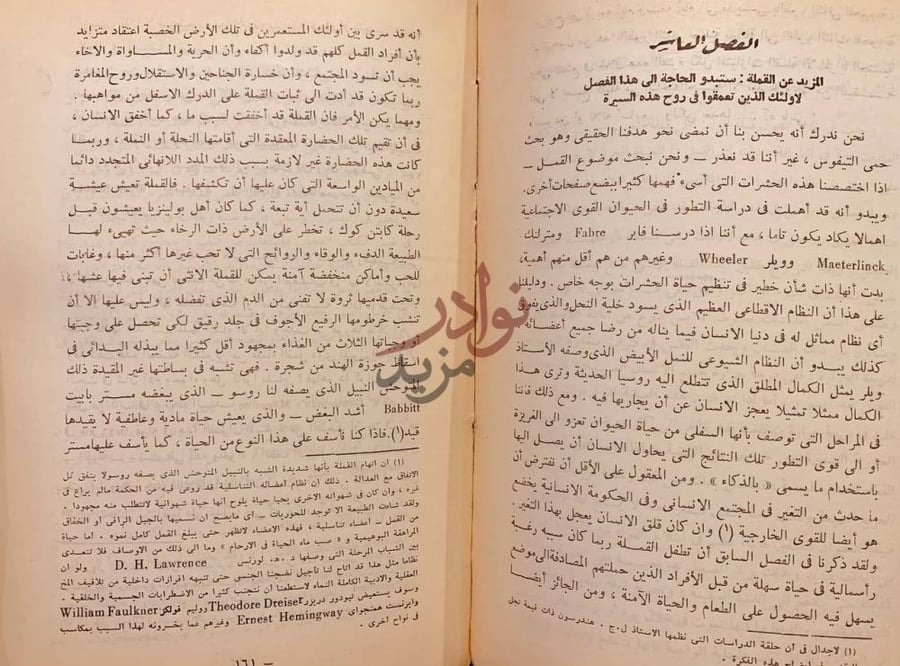صفحة داخلية كتاب التيفوس والتاريخ الفصل السادس