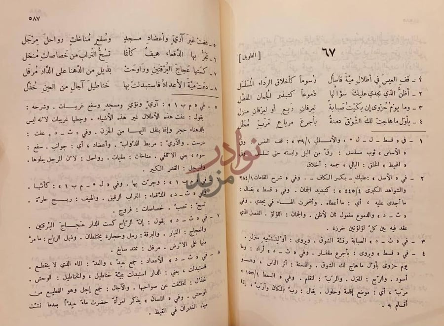 صفحة داخلية كتاب ديوان ذي الرمة الطويل