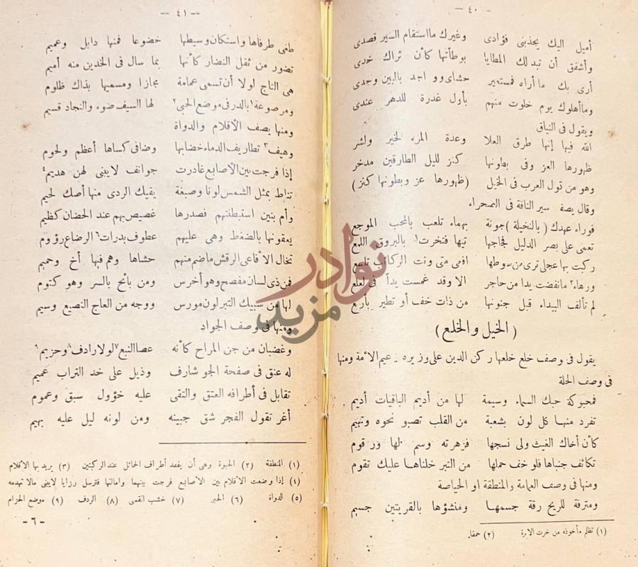 صفحة داخلية كتاب مهيار الديلمي بحث ونقد وتحليل
