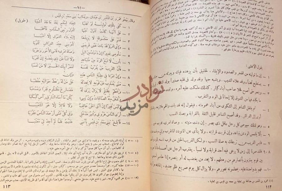 صفحة داخلية كتاب ديوان الاعشى الكبير وقال يهجو عمرو بن