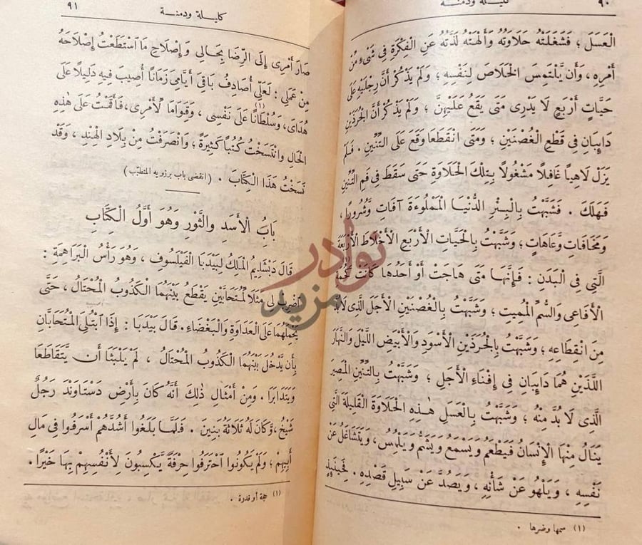 فصل كتاب كليلة ودمنه باب الأسد والثور وهو