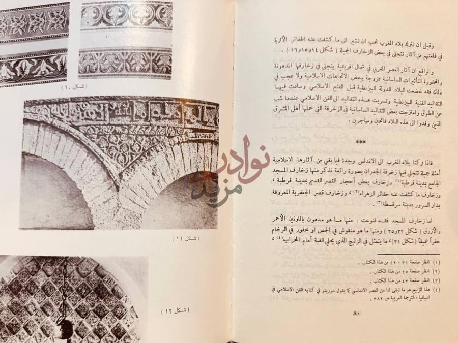 صفحة داخلية كتاب الفنون الزخرفية الاسلامية في المغرب والاندلس