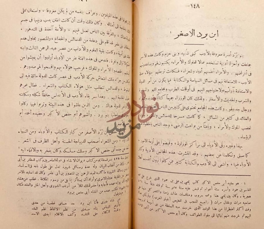صفحة داخلية كتاب بلاغة العرب في الاندلس ابن برد الاصغر