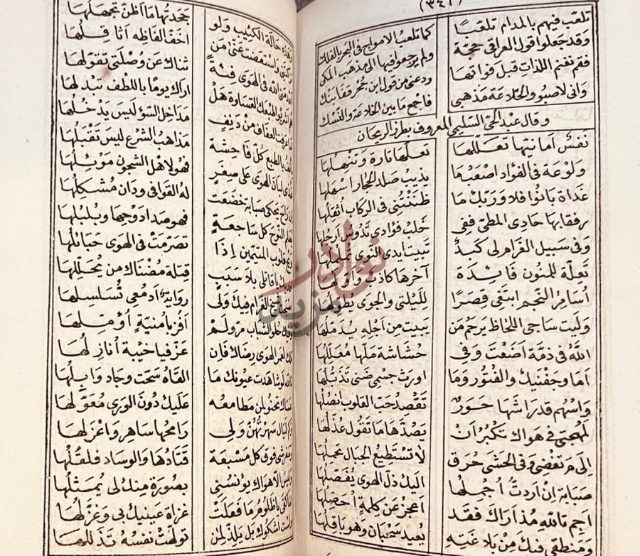 صفحة داخلية كتاب سفينة الملك ونفيسة الفلك وقال العبد الحق