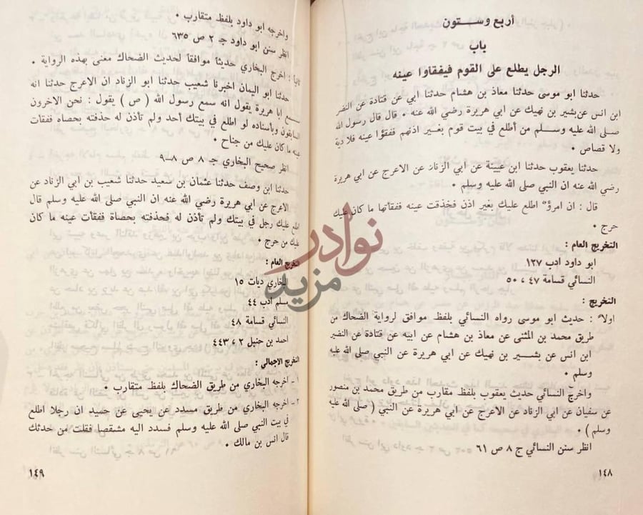 صفحة داخلية كتاب الومضات في تخريج احاديث كتاب الديات