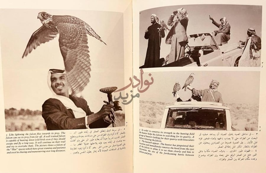 صفحة داخلية كتاب رياضة الصيد بالصقور من تراثنا العربي